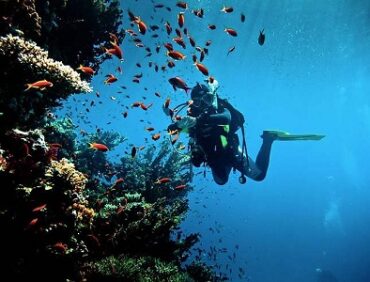 سهل حشيش من أروع