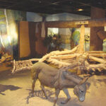 أسوان واحدة من أجمل