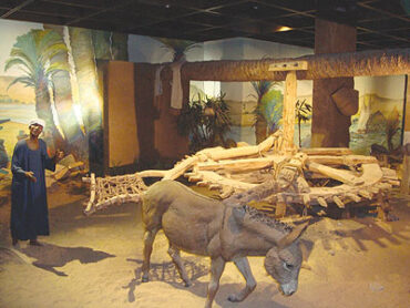 أسوان واحدة من أجمل