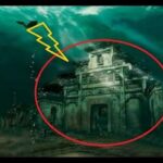 تُعد الإسكندرية واحدة من