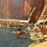 مرسى علم واحدة من