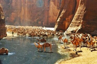 مرسى علم واحدة من